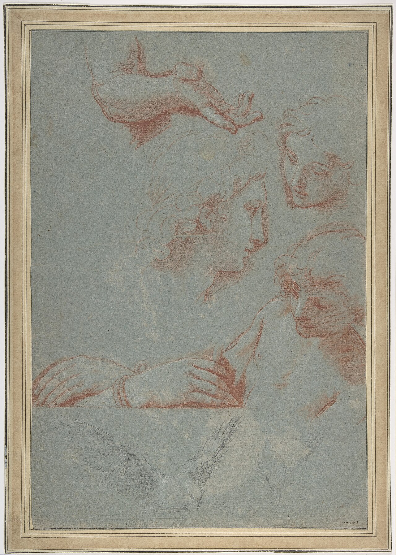 Sheet of Studies- Heads, Hands, and Doves MET DP809932 — Luigi Garzi