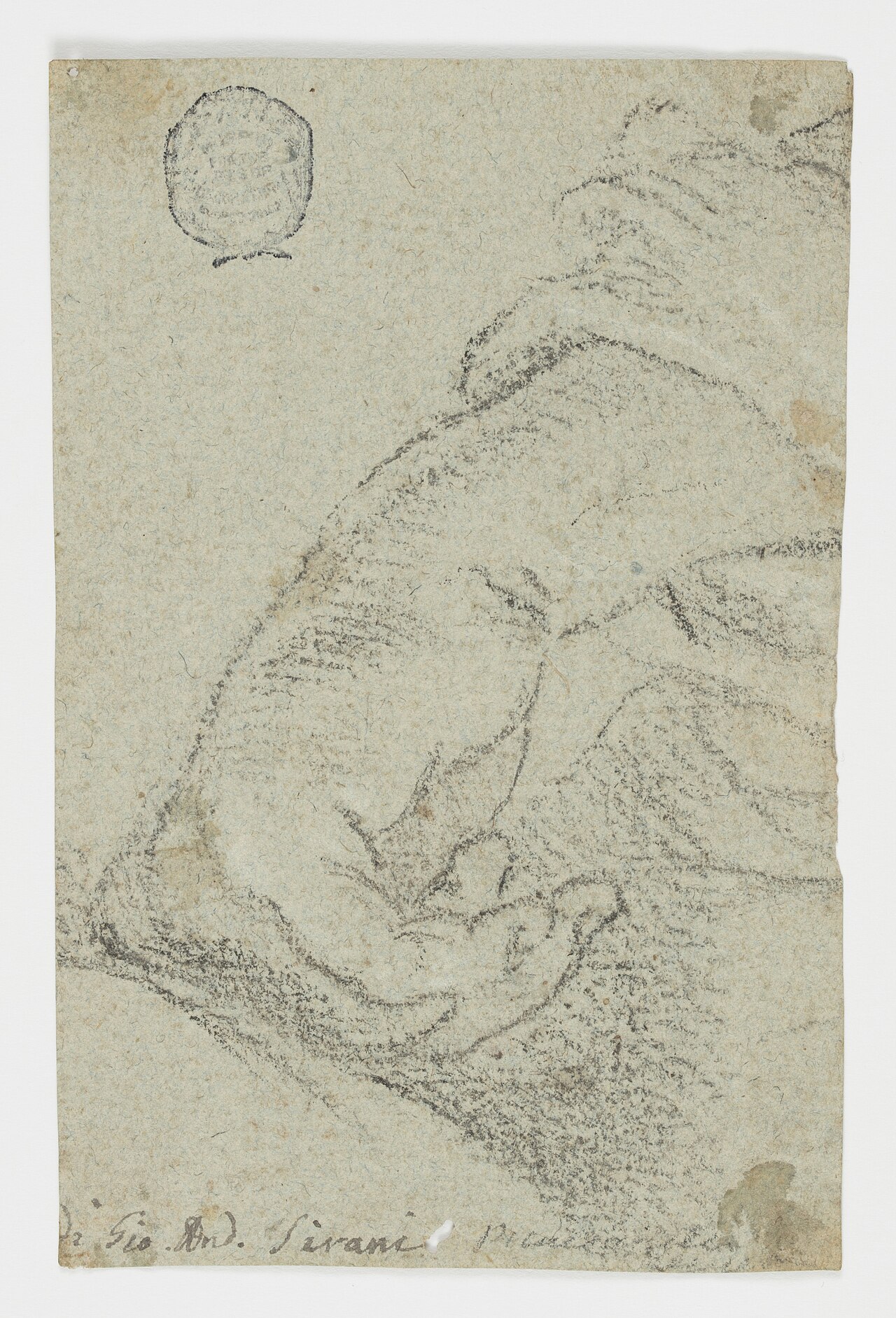 Drawing, Study- A left hand in a leaning position, ca. 1650 (CH 18118579) — Giovanni Andrea Sirani