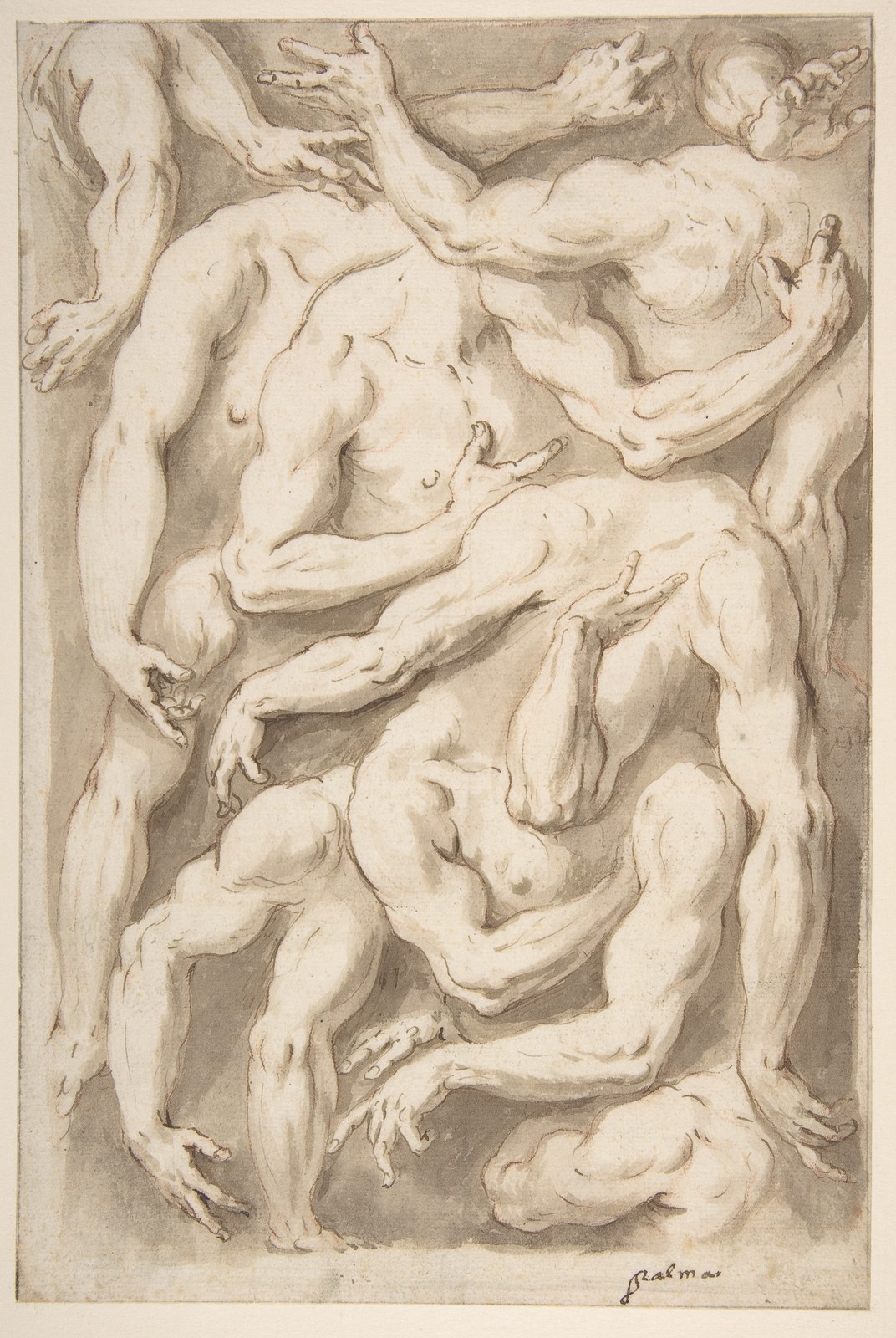 Studies of Arms, Shoulders and Hands — Giacomo Franco