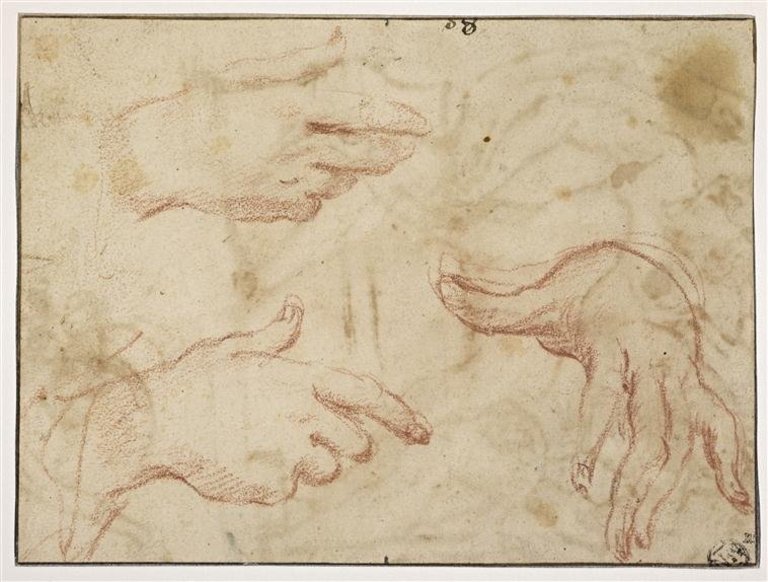 Carracci - Trois études de mains, INV 7399, Recto — Annibale Carracci