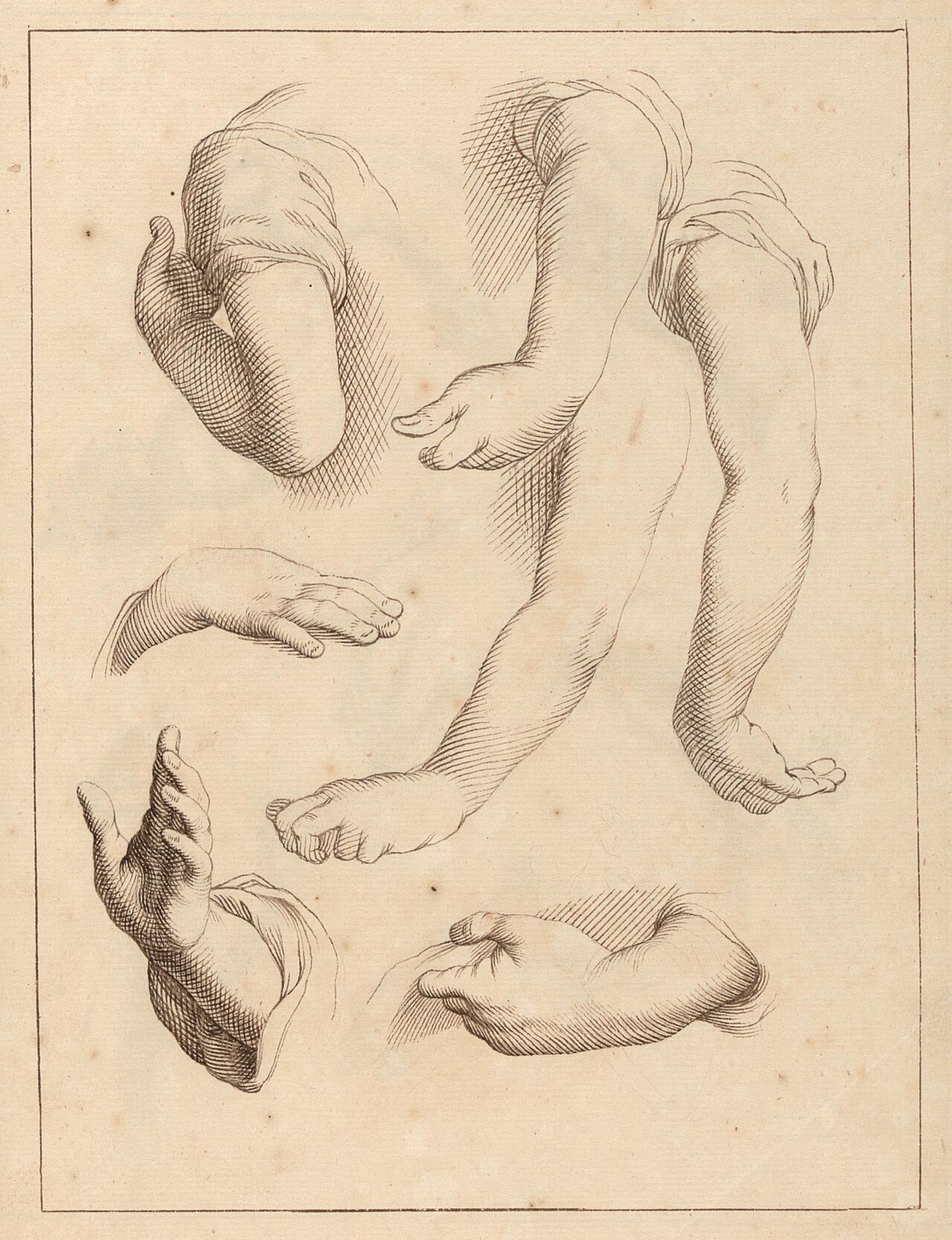 Hamlet Winstanley - Studies of Arms and Hands - B1977.14.4081(35) - Yale Center for British Art — Hamlet Winstanley