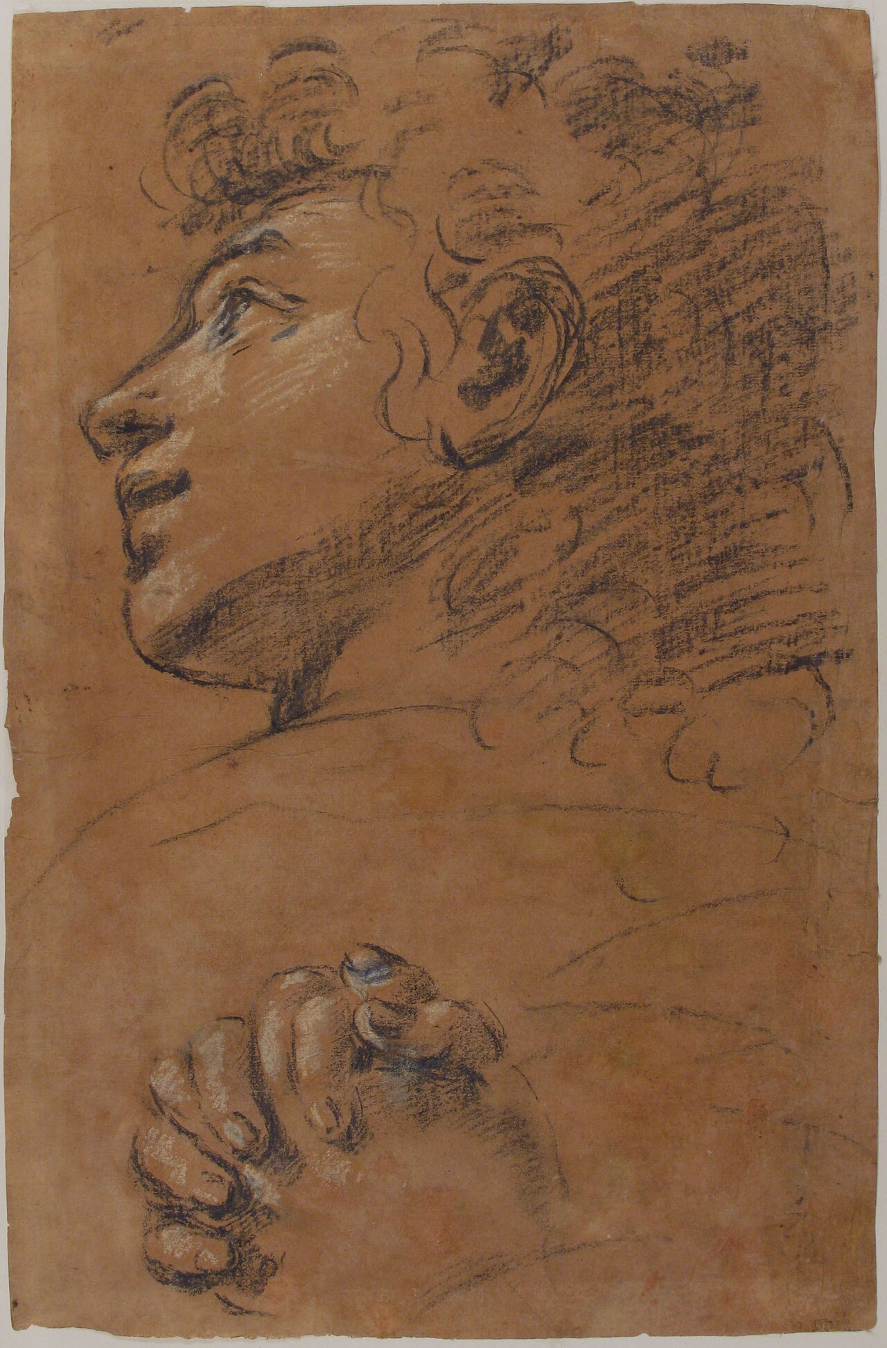 Profile Head of a Youth Looking to Upper Left, and Study of Clasped Hands MET 19.76.16 — Giacomo Cavedone