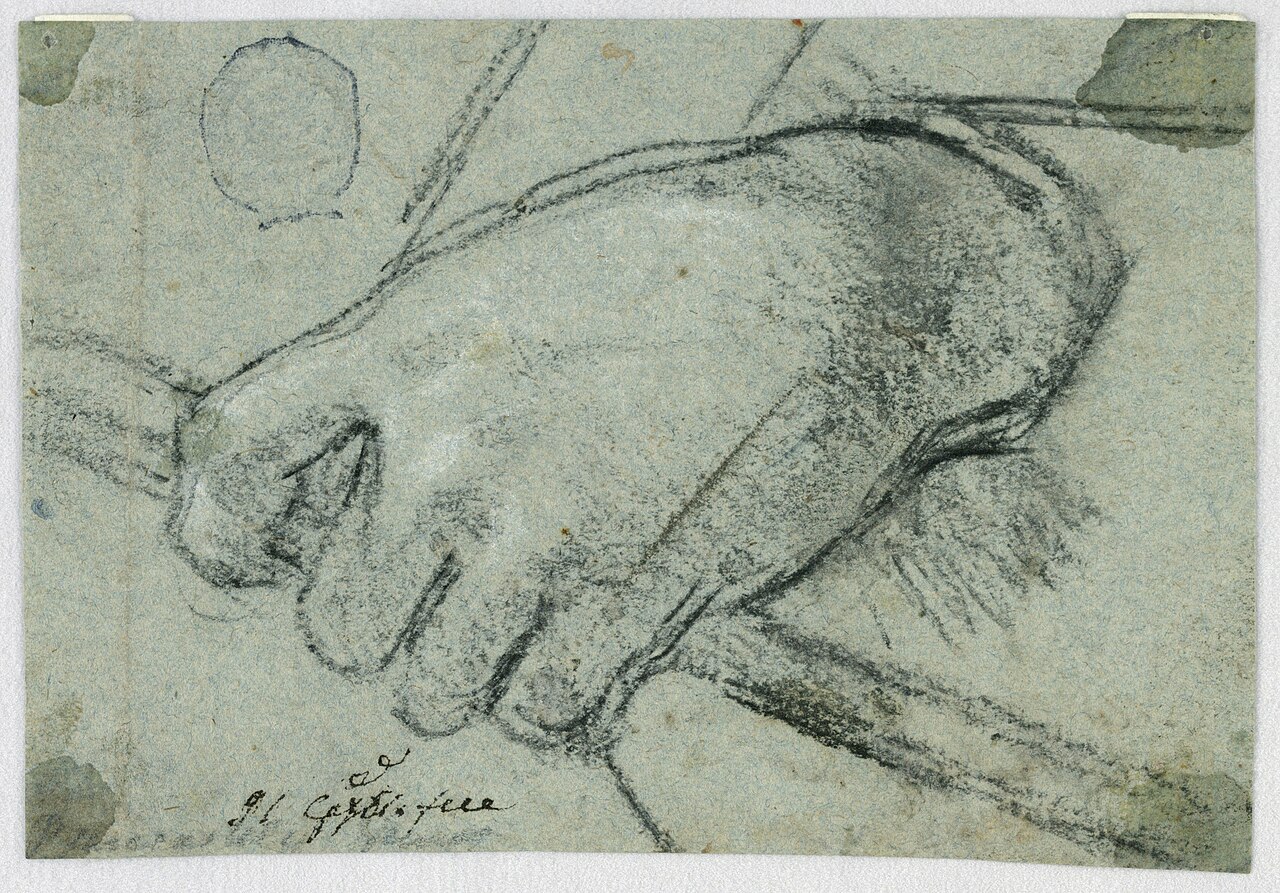 Drawing, Study- A left hand carrying a stick, 1725–1775 (CH 18118757) — Unbekannter Künstler