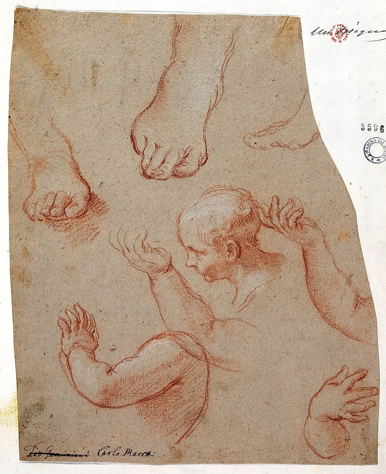 Carlo Maratta - Studies of hands, feet and a male head — Carlo Maratta