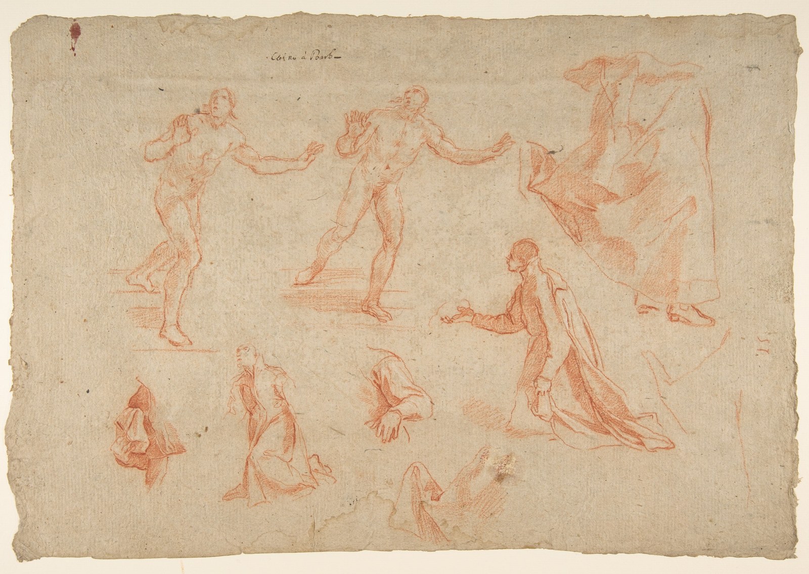 Figure and Drapery studies (recto); Three Studies of a Male Torso for the "Coronation of Marcantonio Pasqualini" (verso) — Andrea Sacchi