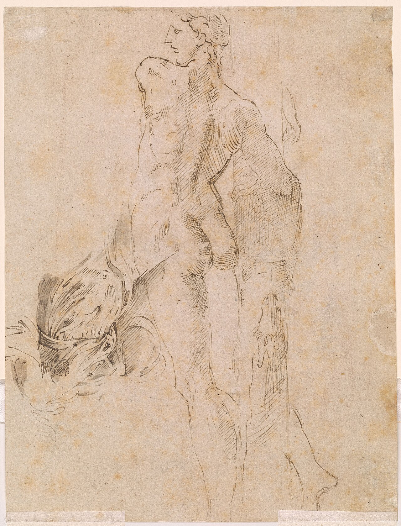 Parmigianino - Verso Standing Male Nude and Study of Drapery, IV, 42 — Parmigianino