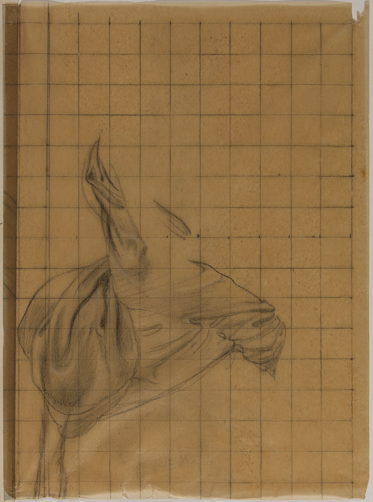 Etude de draperie (MCB 104 bis), PPD256(2B) — Pierre-Cécile Puvis de Chavannes