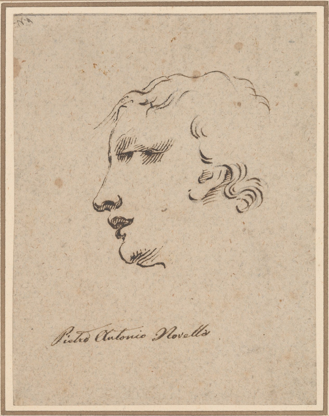 Head of a Man — Pietro Antonio Novelli