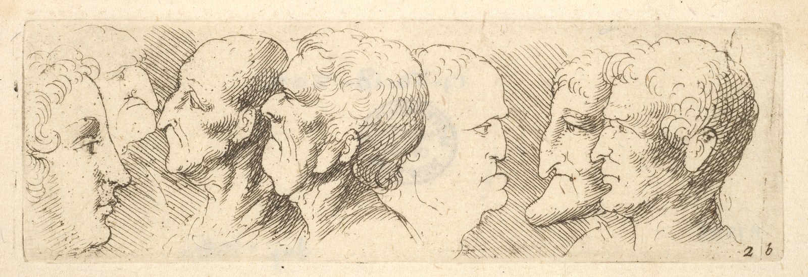 Head studies — Wenceslaus Hollar