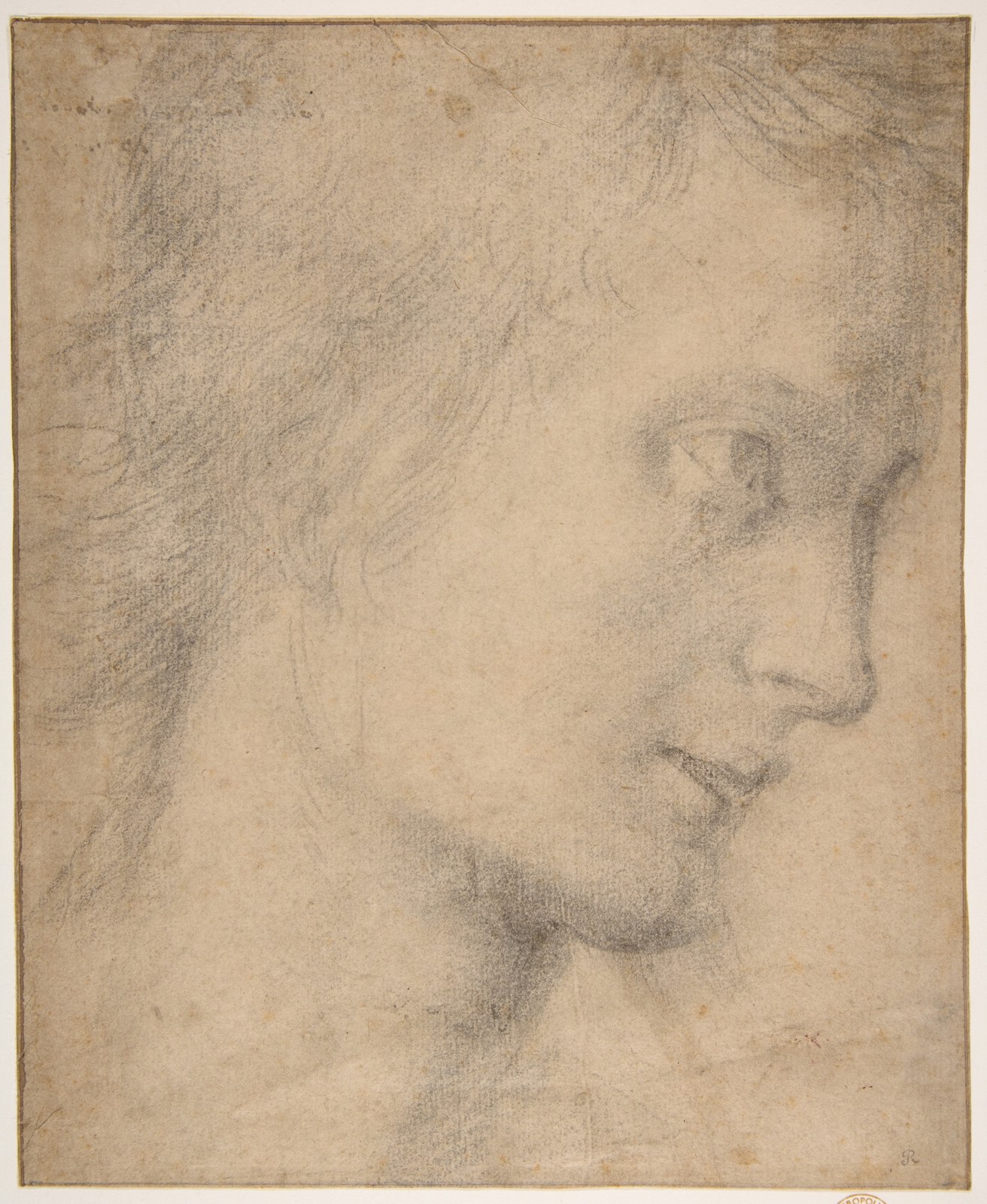 Head of a Youth in Profile (recto); Study of a Seated Figure (verso) — Giovanni Antonio Sogliani