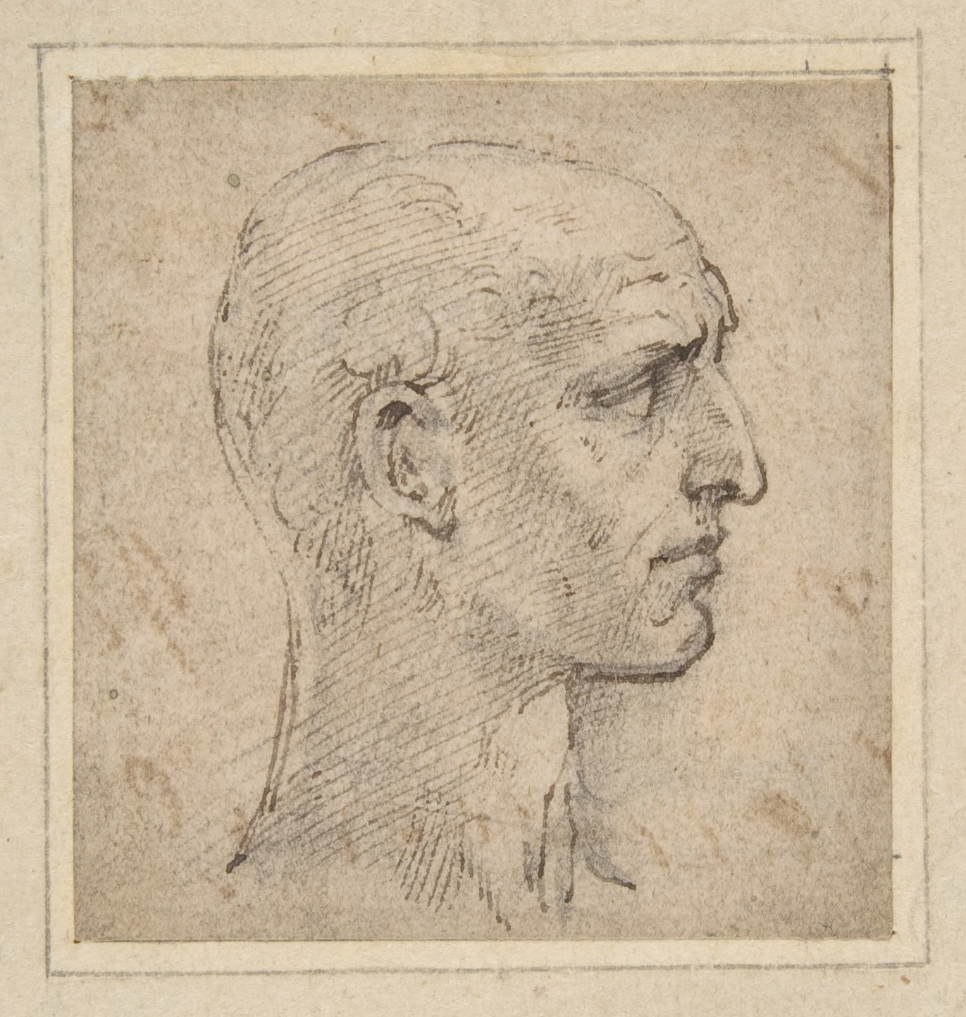 Head of a Man in Profile to Right — Parmigianino