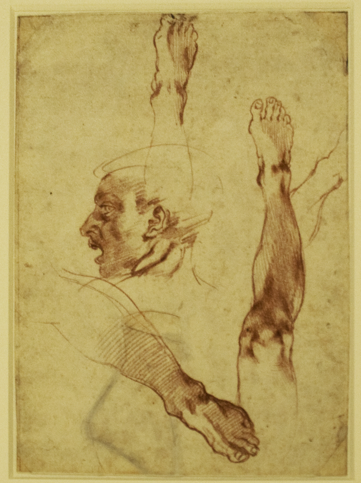 Study of a head — Michelangelo
