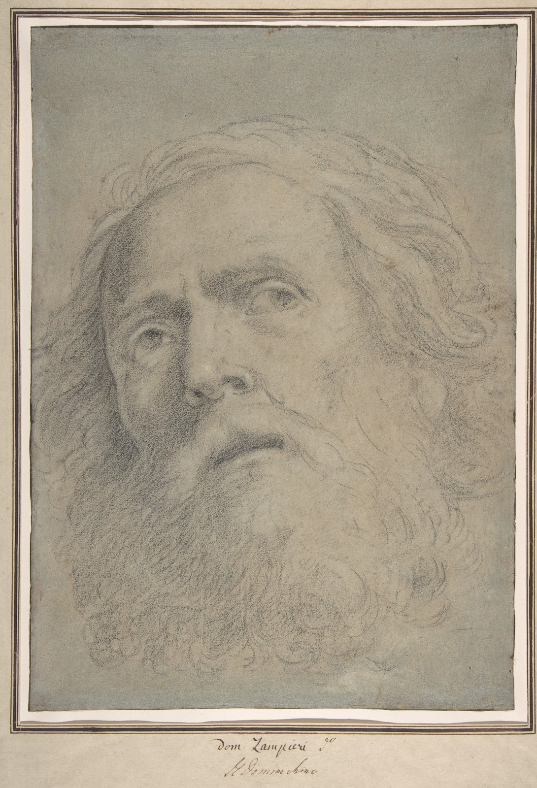 Head of a Bearded Man — Domenichino