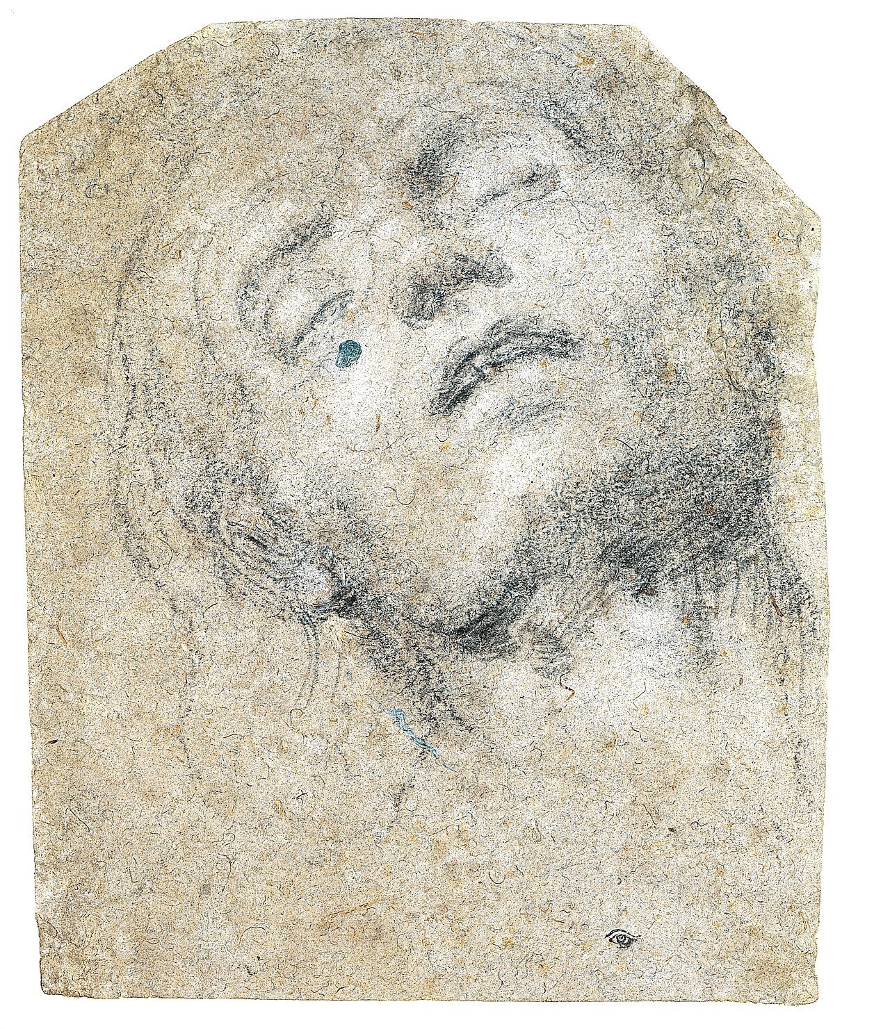 Study of a Head MET 46Q 120R2 — Giovanni Girolamo Savoldo