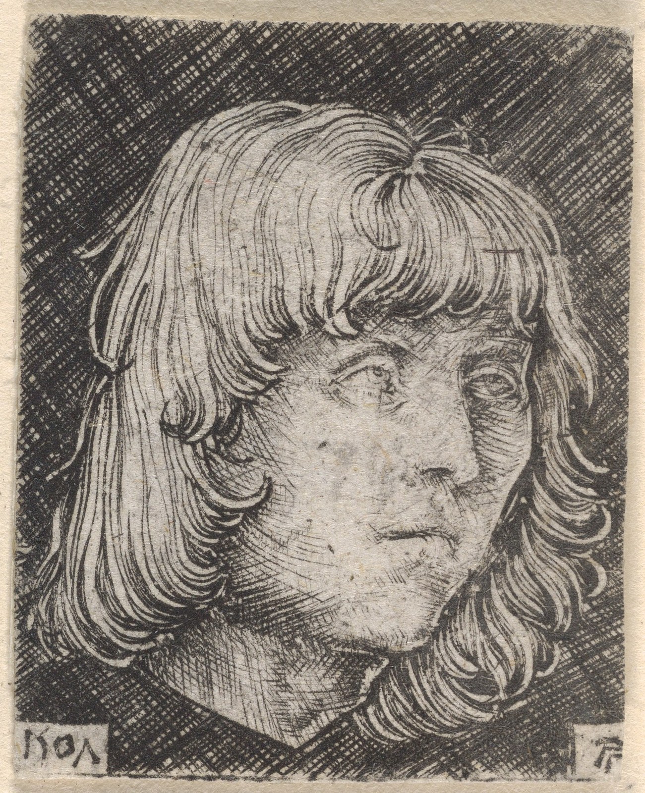 Head of a Young Man — Albrecht Altdorfer