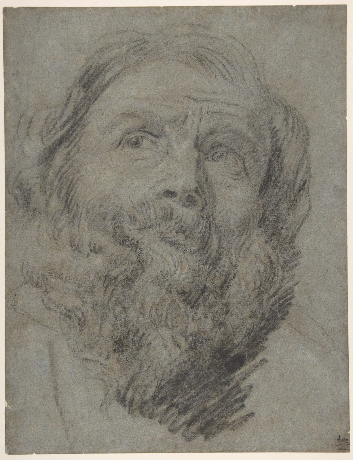 Head of an Apostle — Anthony van Dyck