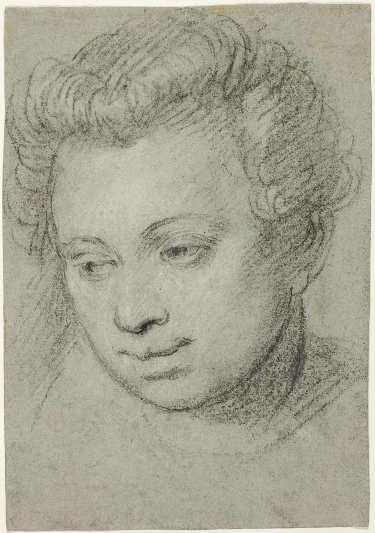 Head of a Woman — Veronese