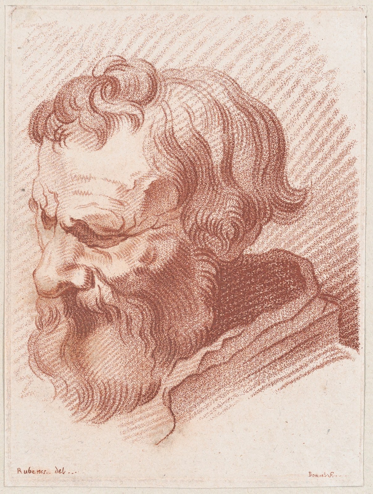 Head of a man with a beard — Louis Marin Bonnet
