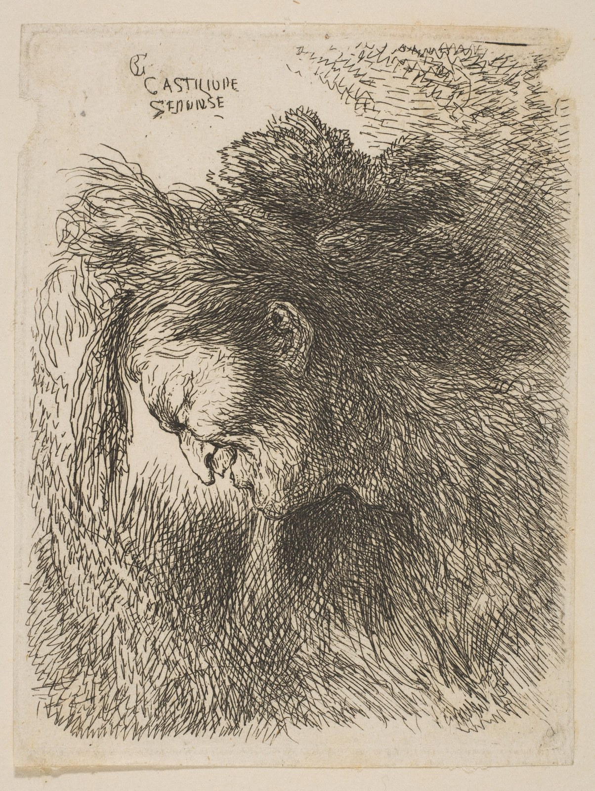 Head of an old man looking down, facing left, from "Small Studies of Heads in Oriental Headress" — Giovanni Benedetto Castiglione