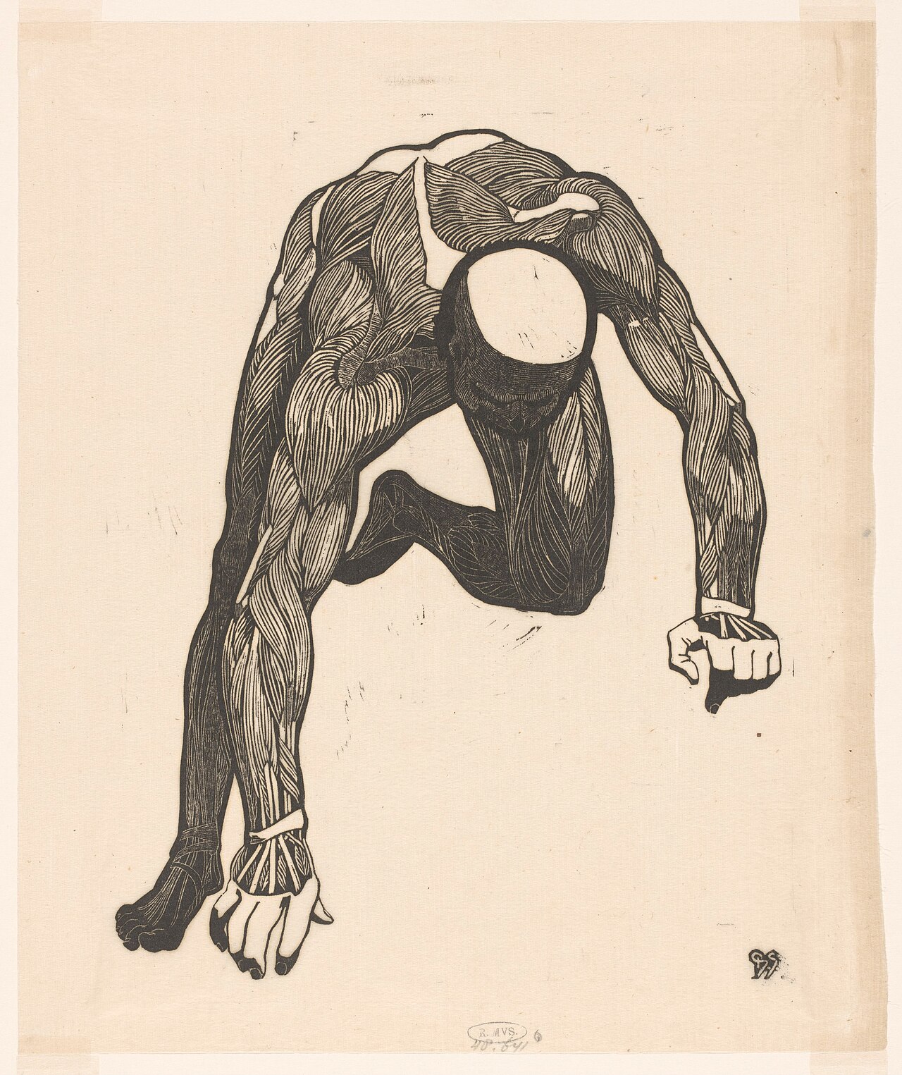 Anatomische studie van de hals-, arm- en beenspieren van een man, RP-P-1948-641O — Artiste inconnu