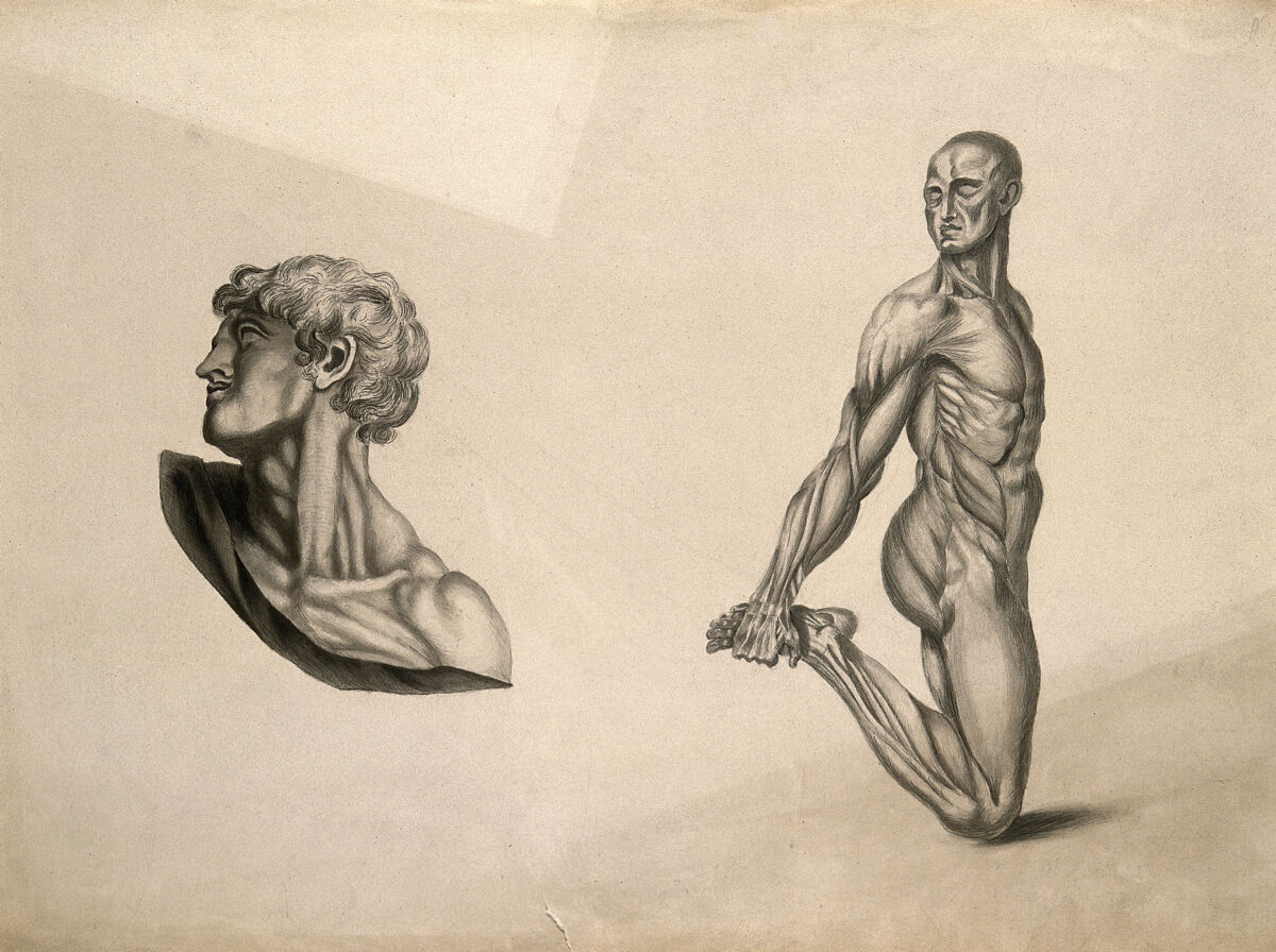Écorché figure with right leg bent, holding foot behind him, and detail of a head and neck. Pencil and ink wash drawing, after an unidentified work on anatomy, ca. 1830(?). — Artista ignoto