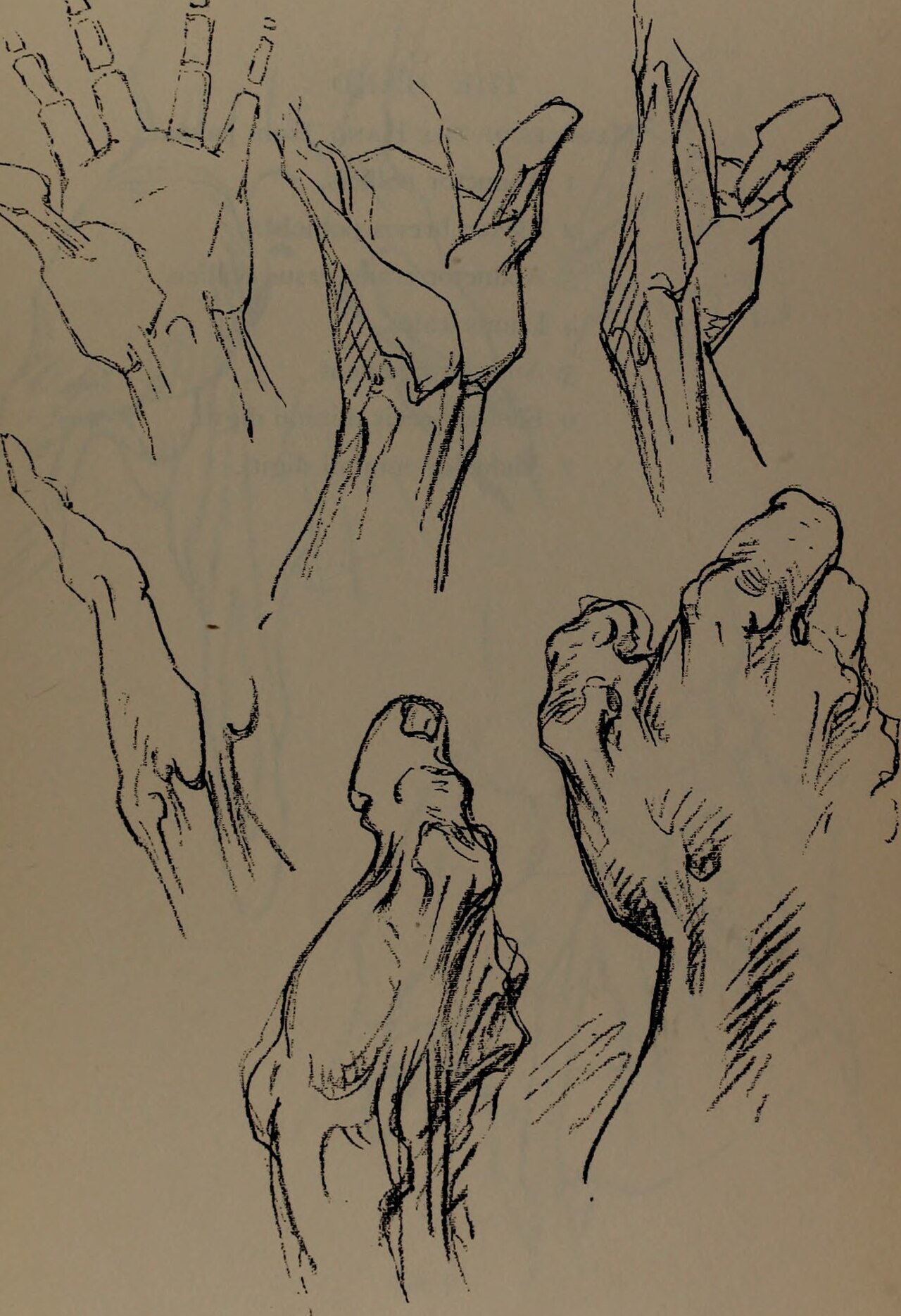 Constructive anatomy (1920) (20062794173) — Bridgman, George Brant, 1864-1943; Rogers, Bruce, 1870-1957, former owner DLC; W