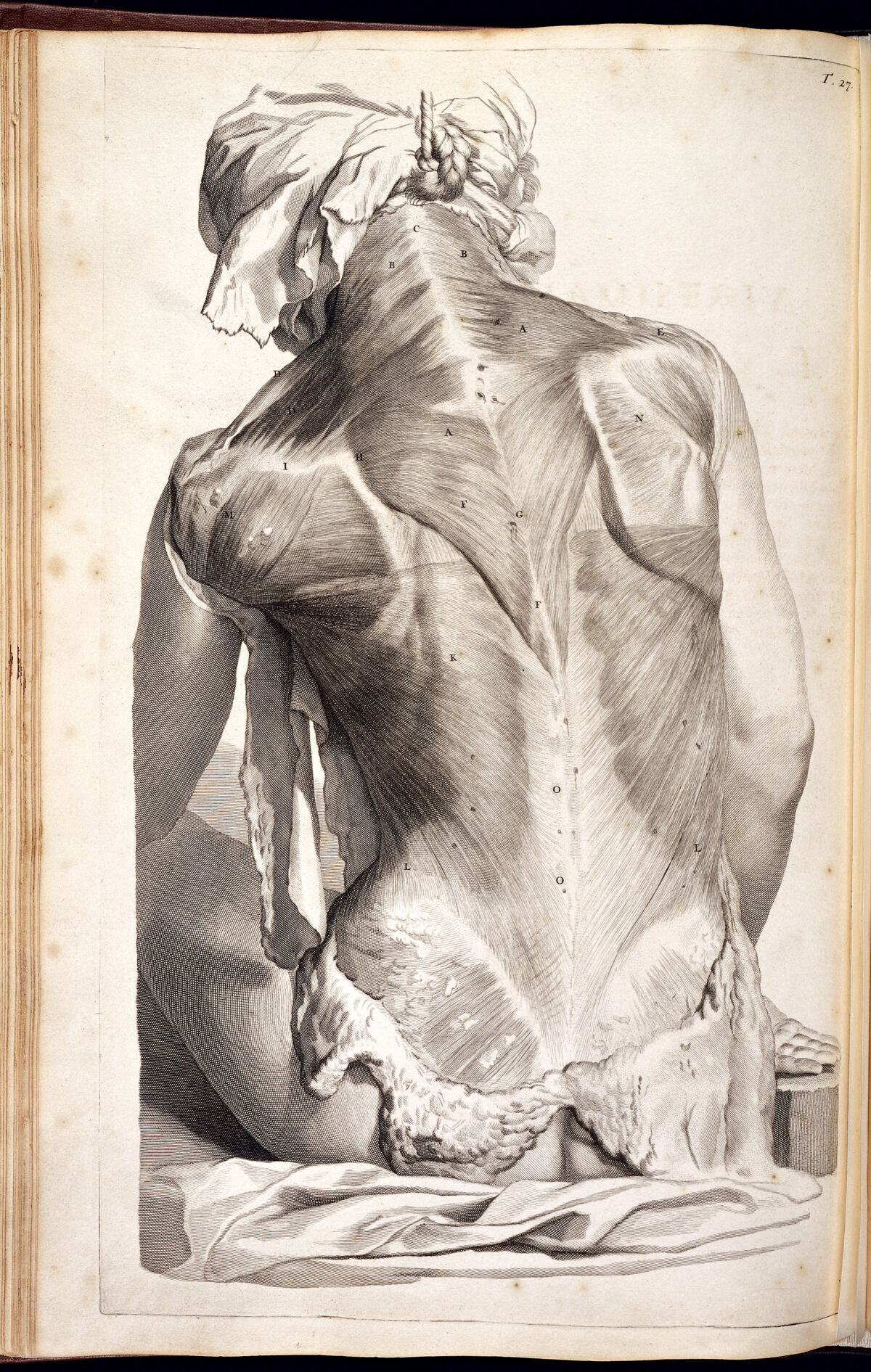 Vigesimaseptima Tabula. Engraving of a flayed female back showing the muscles such as Trapizius — Gérard de Lairesse