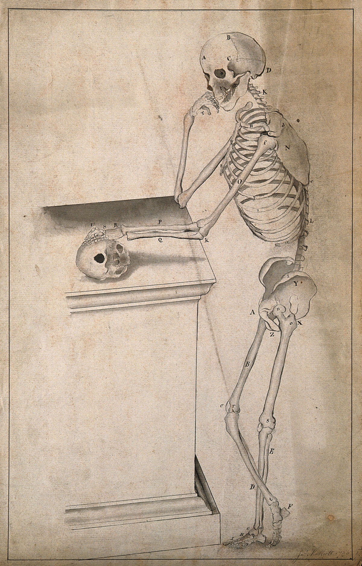 Standing skeleton, seen from the side, resting right elbow on a pedestal, with left hand resting on a skull. Pen and ink wash drawing by J. Mallcott after A. Vesalius, 1796. — Andreas Vesalius