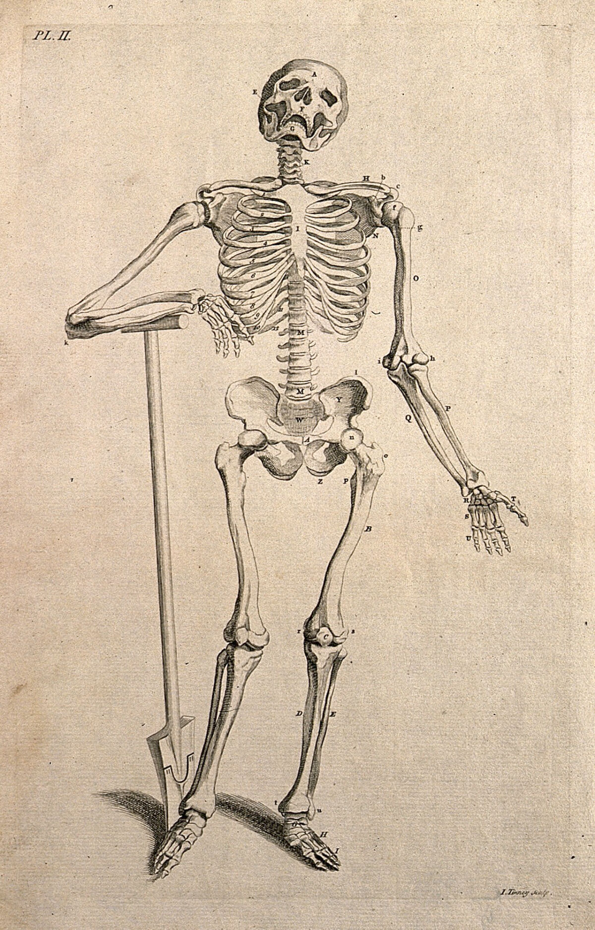 A skeleton leaning on an inscribed tombstone, resting his right hand on a skull. Line engraving by J. Tinney, after A. Vesalius, 1743. — Andreas Vesalius
