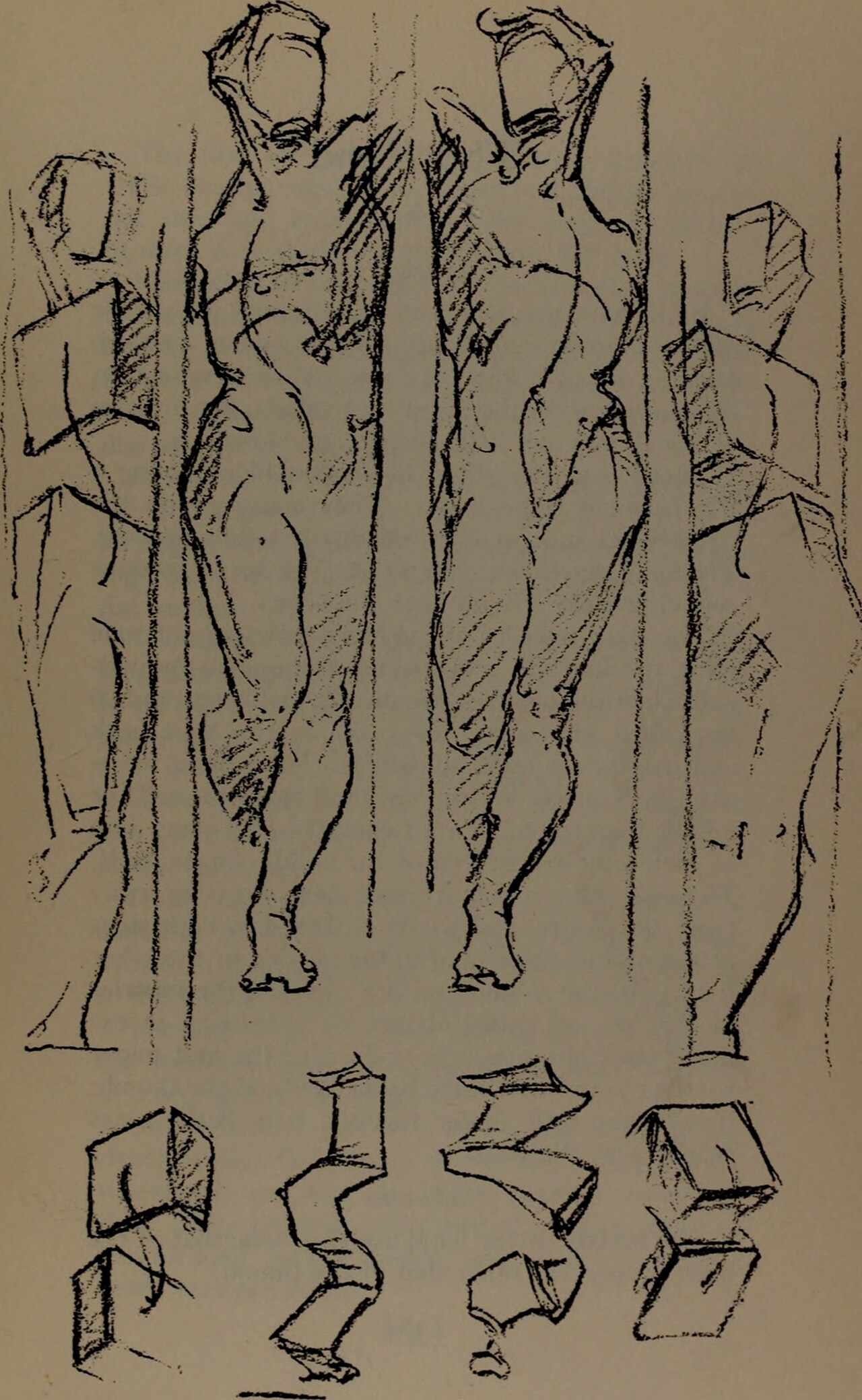 Constructive anatomy (1920) (20495757180) — Bridgman, George Brant, 1864-1943; Rogers, Bruce, 1870-1957, former owner DLC; W
