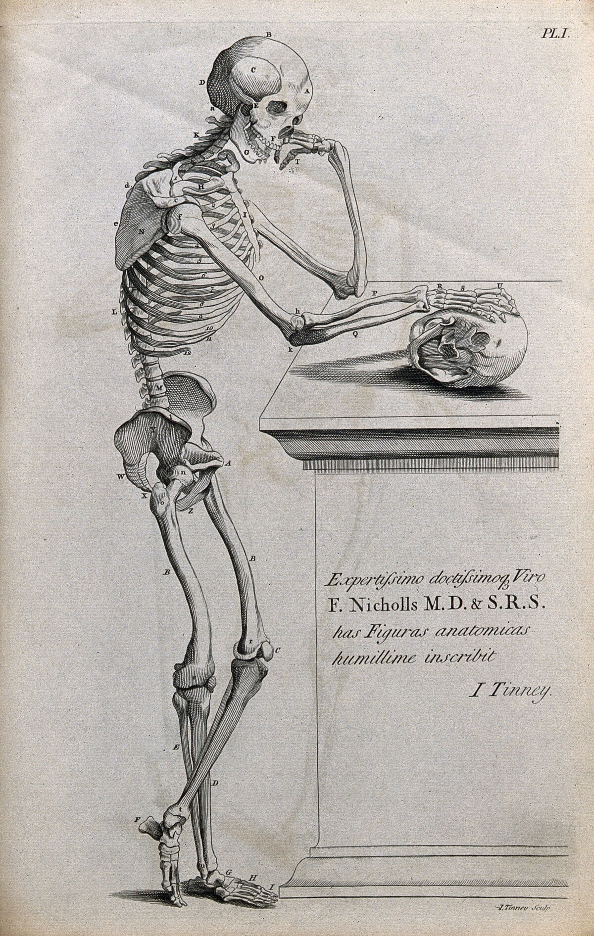 A skeleton leaning on an inscribed tombstone, resting his right hand on a skull. Line engraving by J. Tinney, 1743, after A. Vesalius, 1543. — Andreas Vesalius