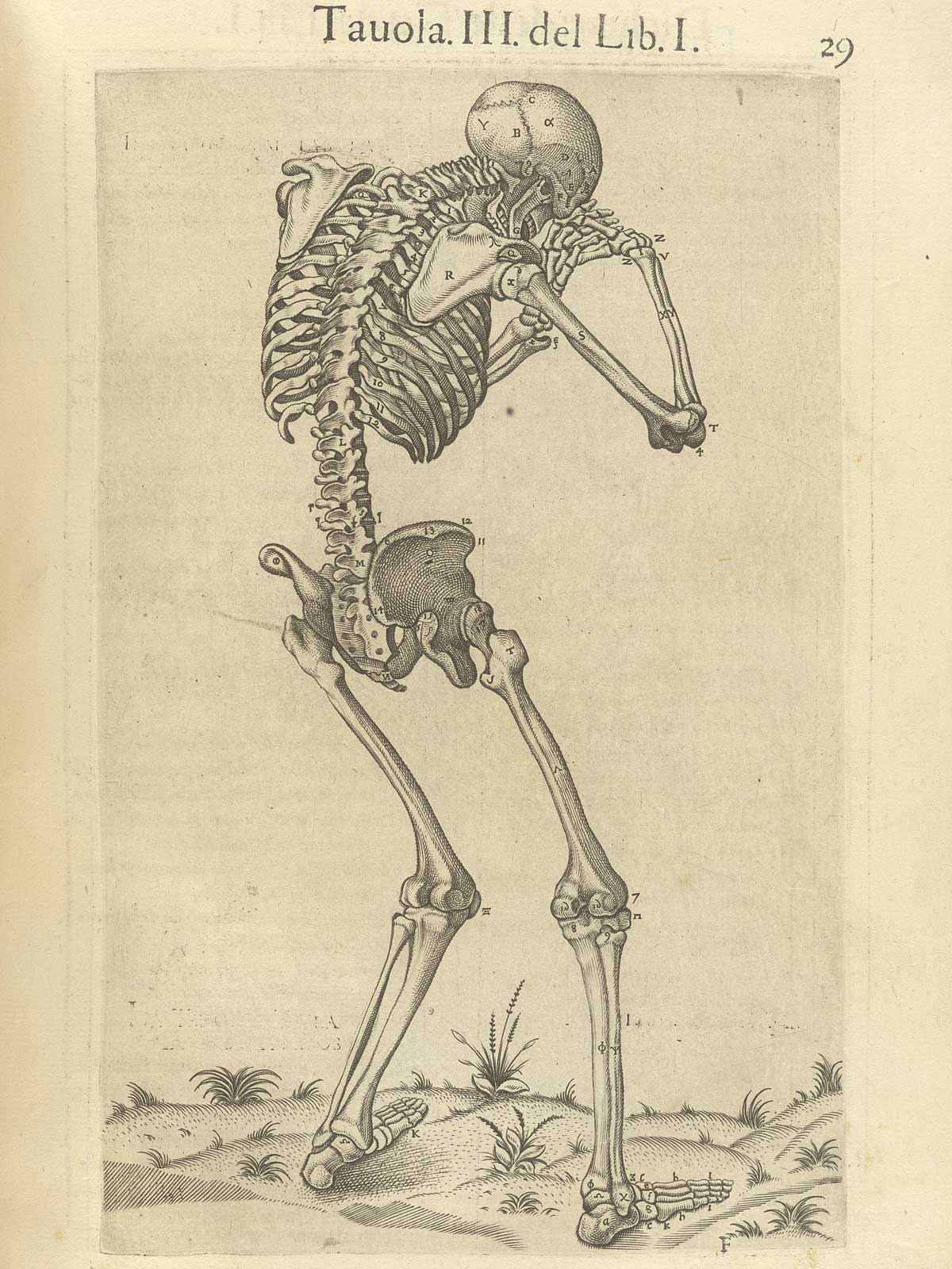 Becerra-anatomia del corpo humano — Juan Valverde de Hamusco, Gaspar Becerra, Nicolás Beatrizet