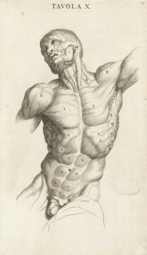 Genga 08 cropped — Bernardino Genga