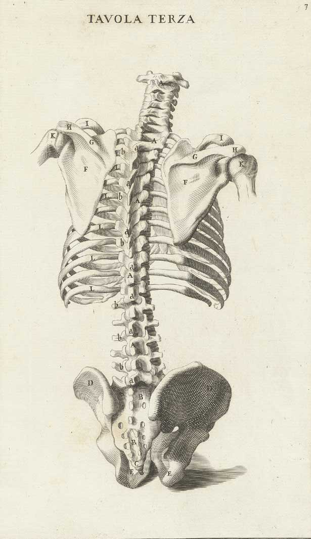 Genga 05 cropped — Bernardino Genga