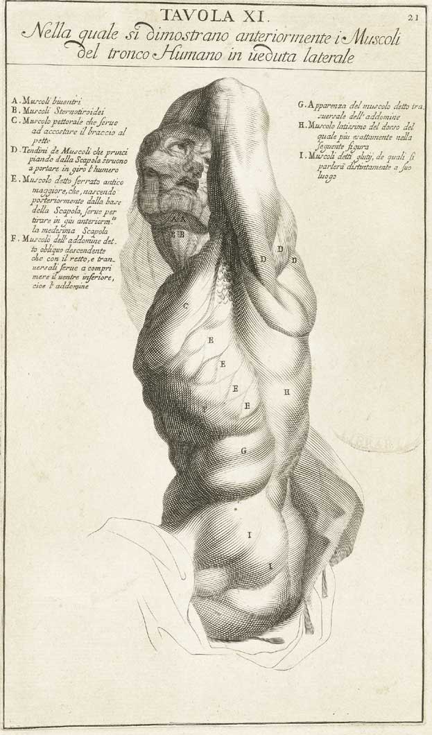 Genga 09 cropped — Bernardino Genga
