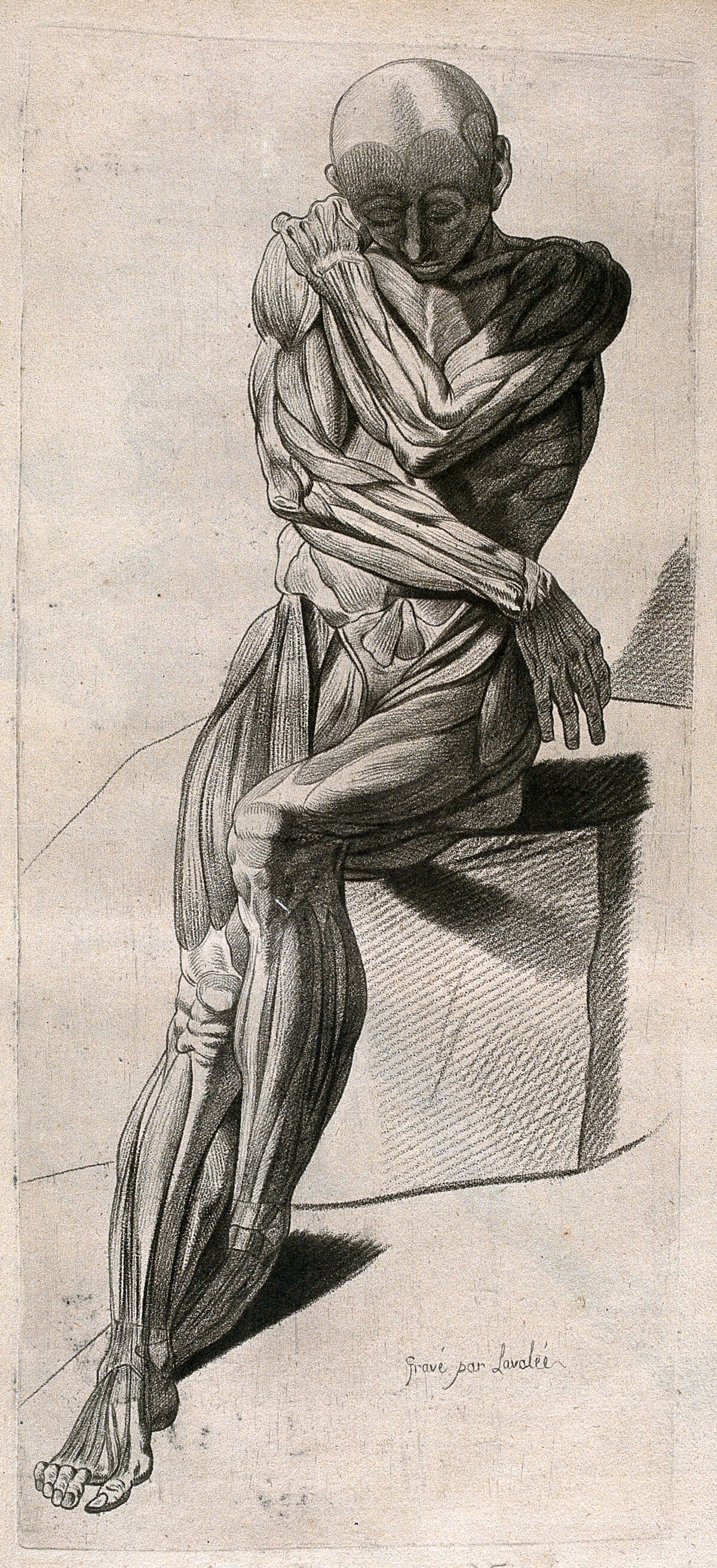 A seated écorché figure, shown with crossed arms and feet. Crayon manner print by Lavalée, after J. Gamelin, 1778/1779. — Gamelin, Jacques, 1739-1803