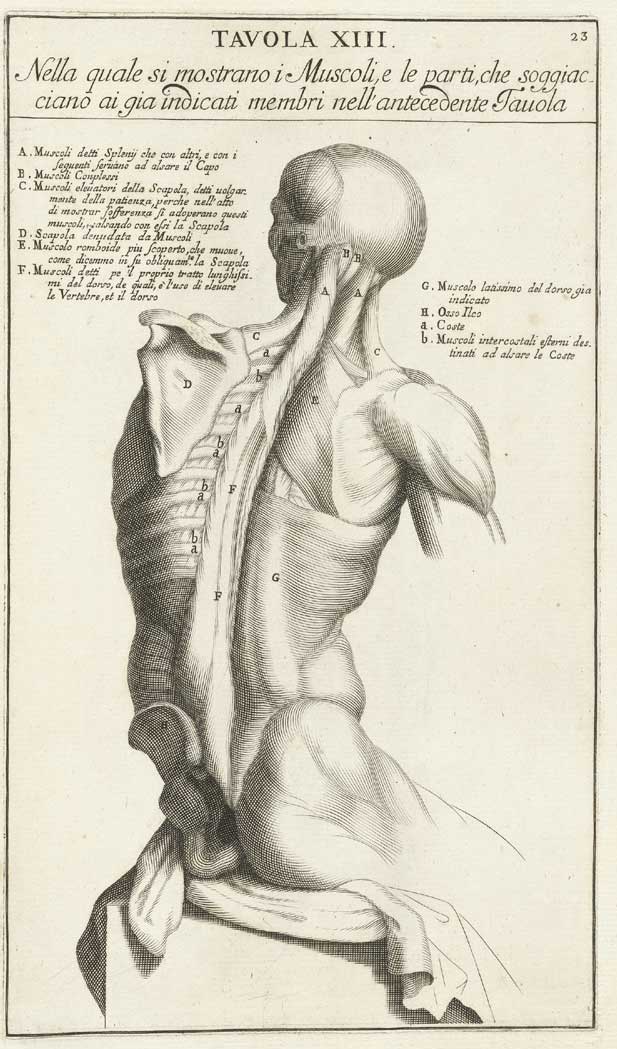 Genga 11 cropped — Bernardino Genga