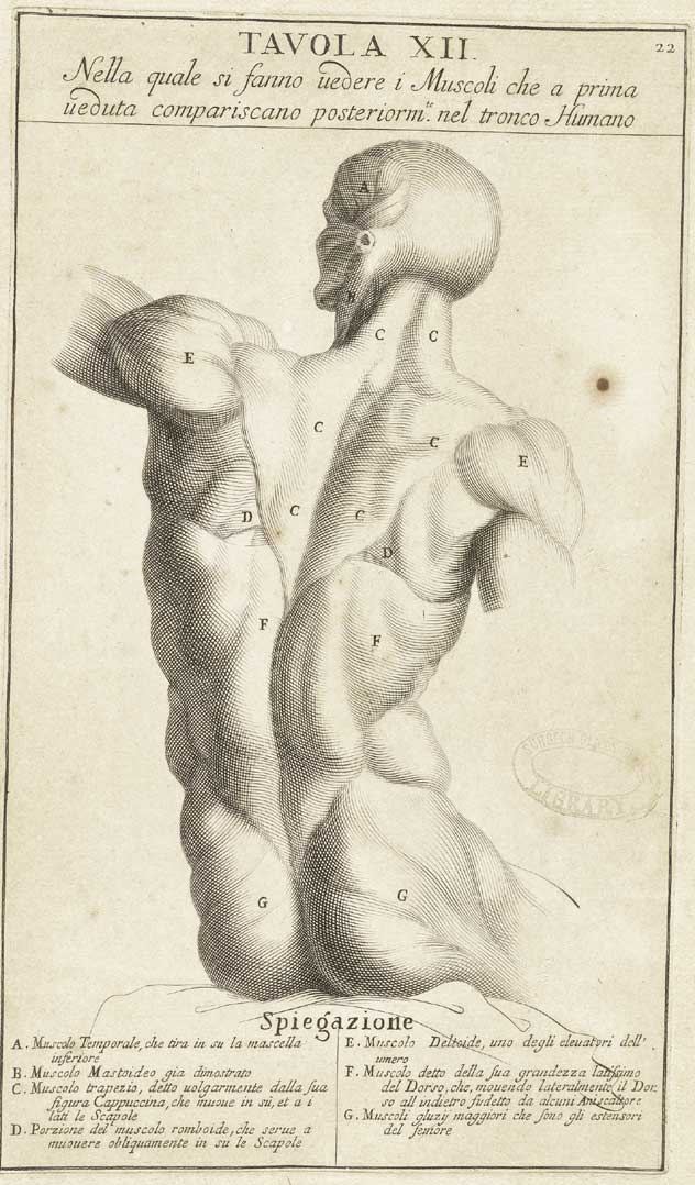 Genga 10 cropped — Bernardino Genga