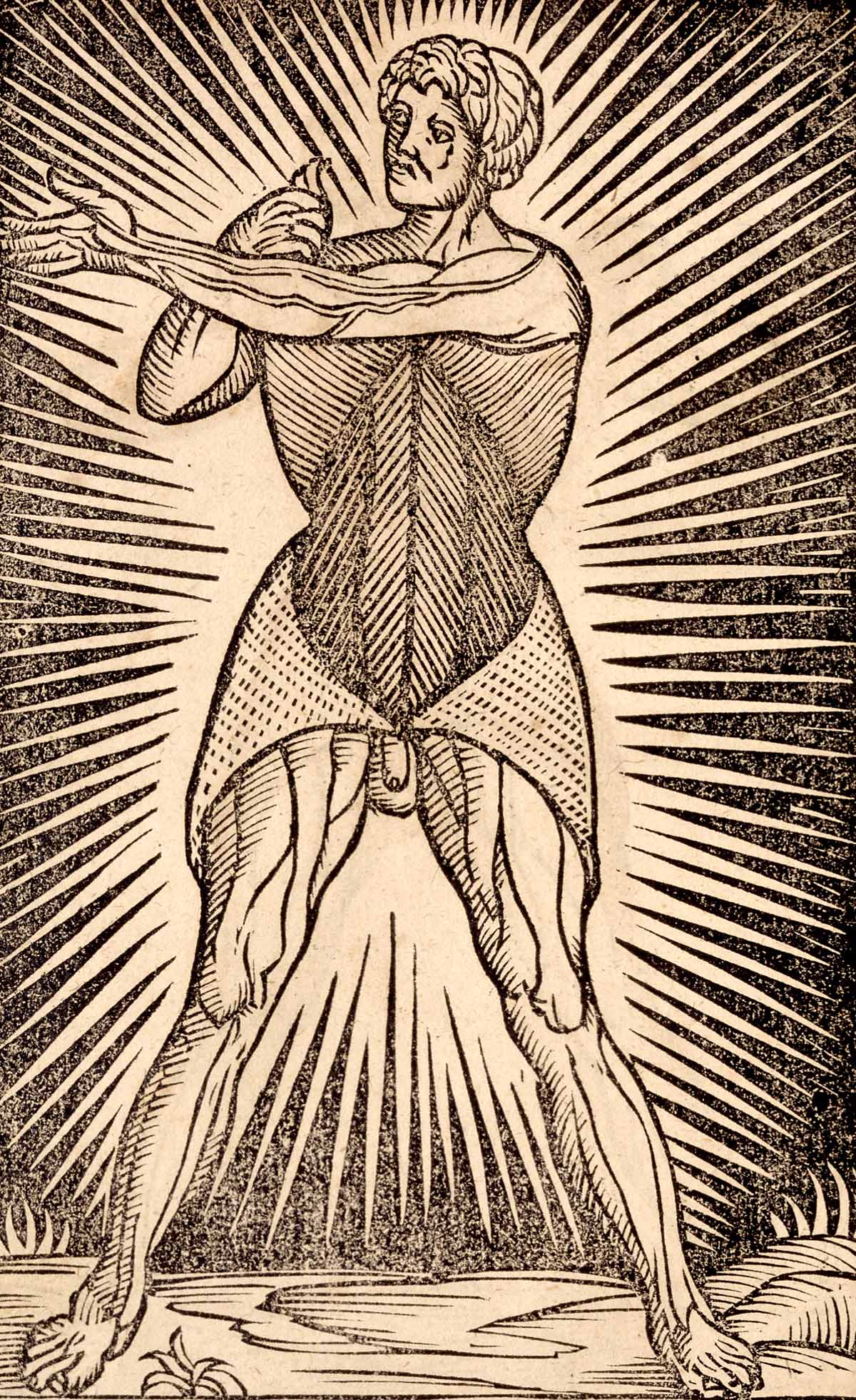 Anatomia Carpi 1535 a — Jacopo Berengario da Carpi