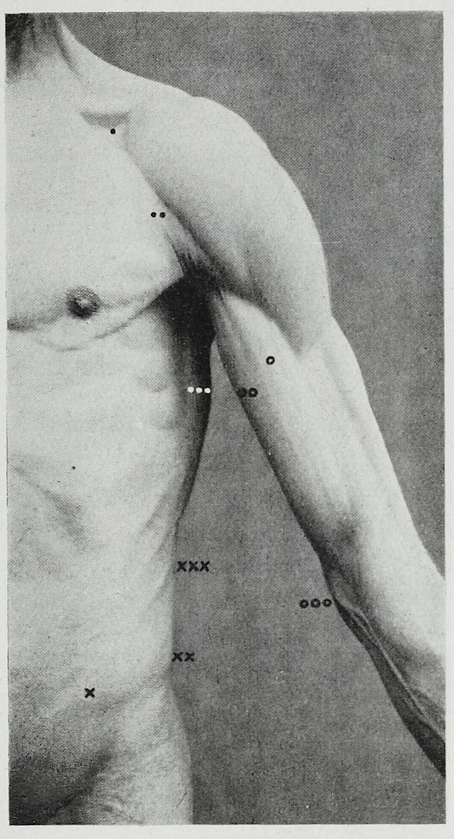Braus 1921 163 — Braus, Hermann