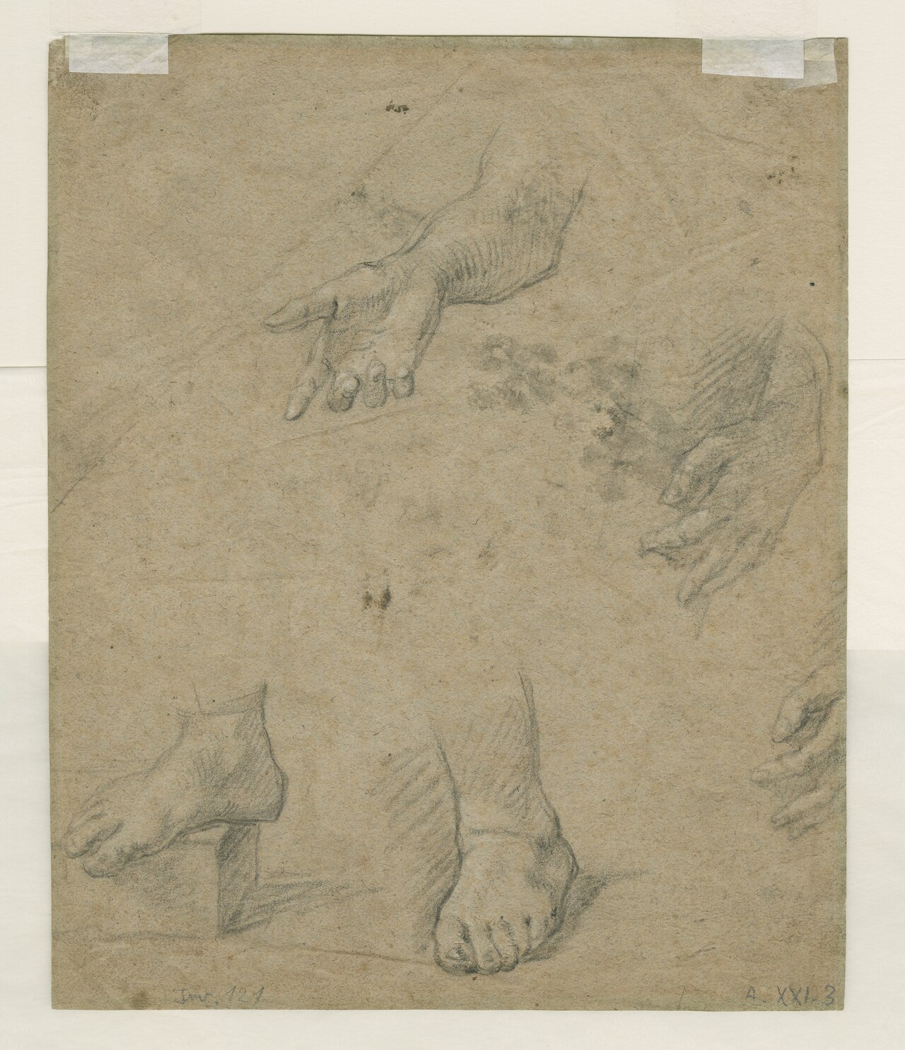 [PIEDI] Studie van handen en voeten, objectno PK.OT.02266 — Anthony van Dyck