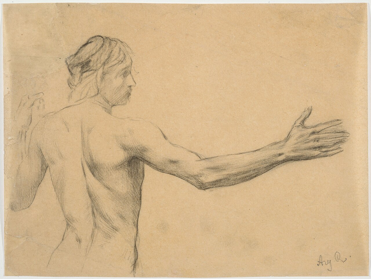 [SCHIENA] Etude d'homme nu à mi-corps, le bras tendu, 93.1.44 — Ary Ernest Renan