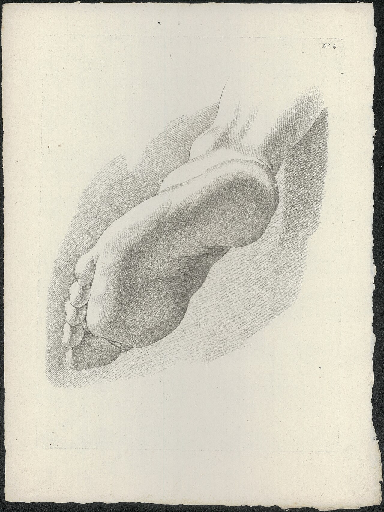 [PIEDI] Studie van een voet 1750-1800 barcode 910000211795 — Artista ignoto