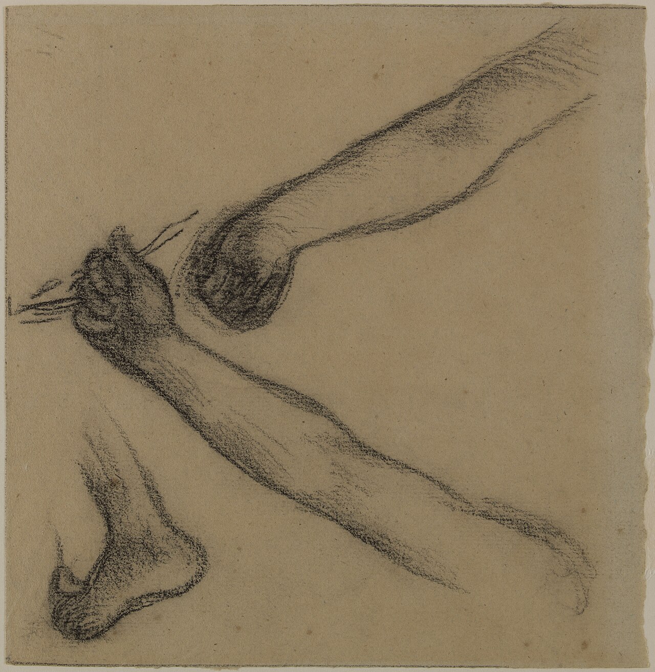 [PIEDI] Etude de bras et de pieds, DDUT1802 — Pierre-Cécile Puvis de Chavannes