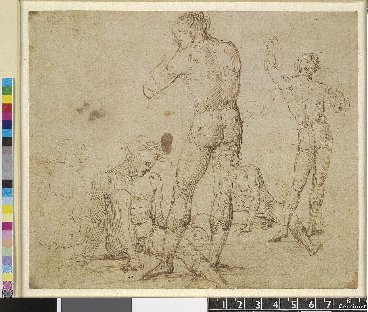 [SCHIENA] Fra Bartolommeo - Studies of five nude men, two of them standing and seen from behind, 1912,1214.3 — Fra Bartolomeo