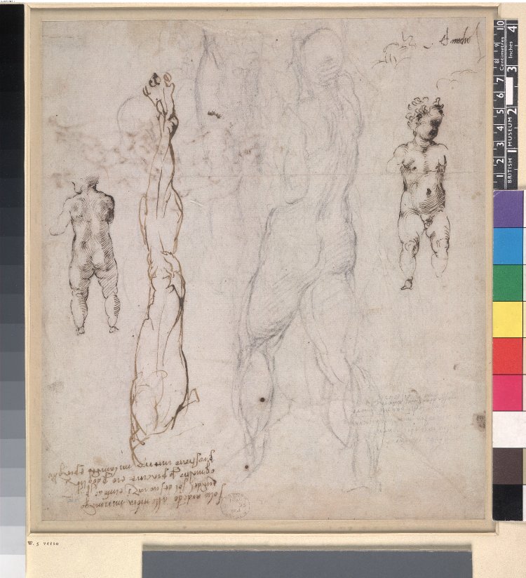 [SCHIENA] Michelangelo - Verso Studies of a man seen from behind, 1859,0625.564 — Michelangelo