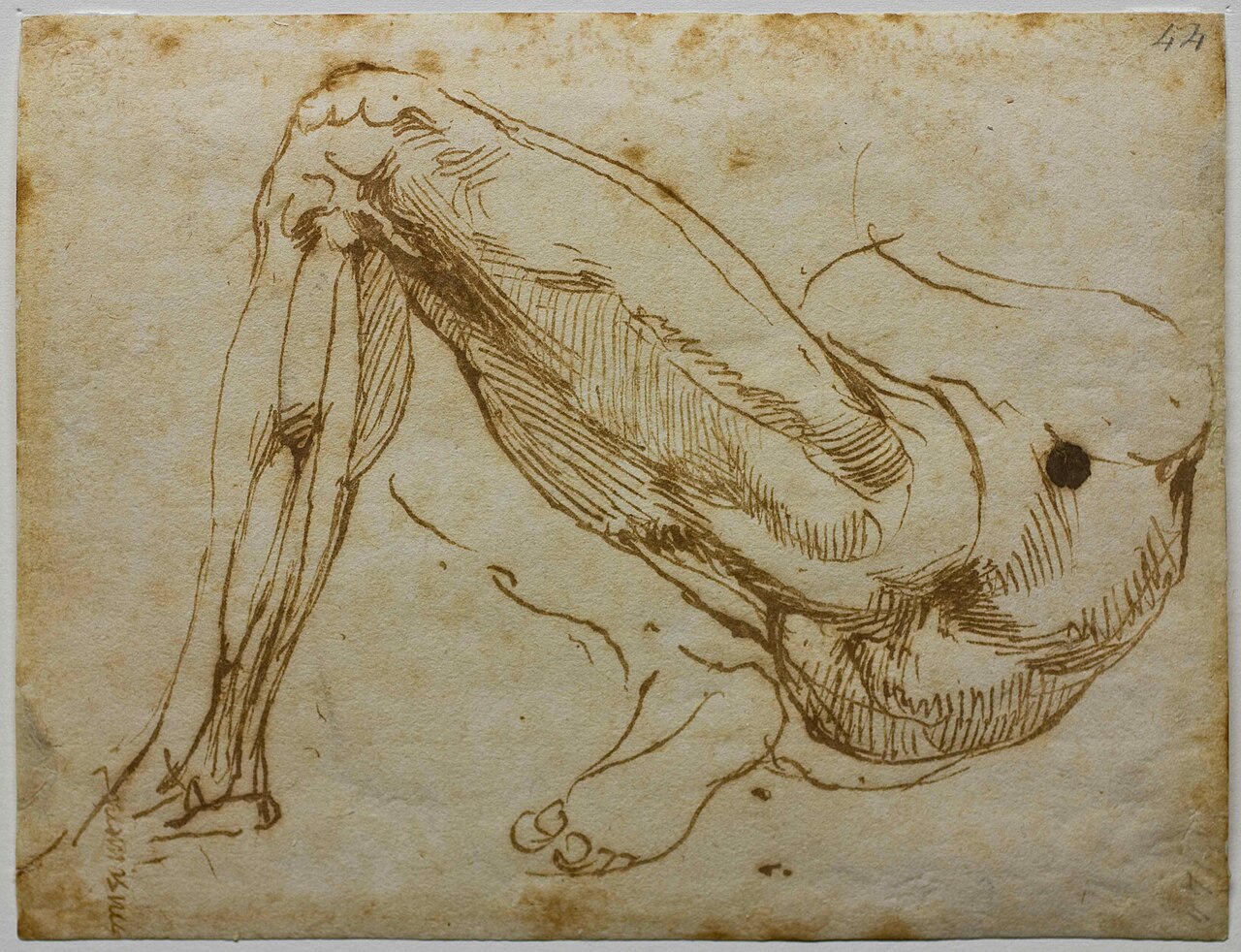 [PIEDI] Study of Legs by Michelangelo — Michelangelo