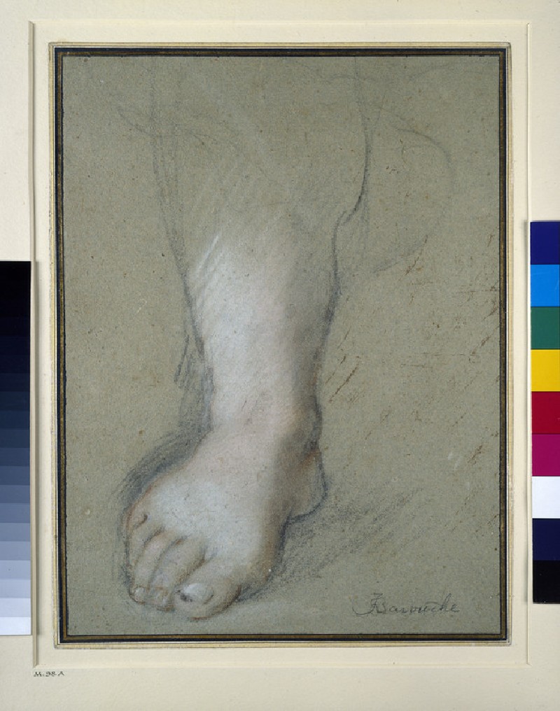 [PIEDI] Barocci - Study of a Foot, WA1955.43 — Federico Barocci