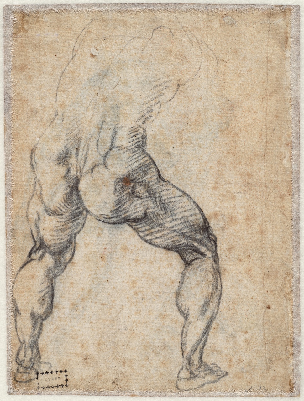 [SCHIENA] Michelangelo - Study for a standing male nude, seen from behind, A 023 verso — Michelangelo