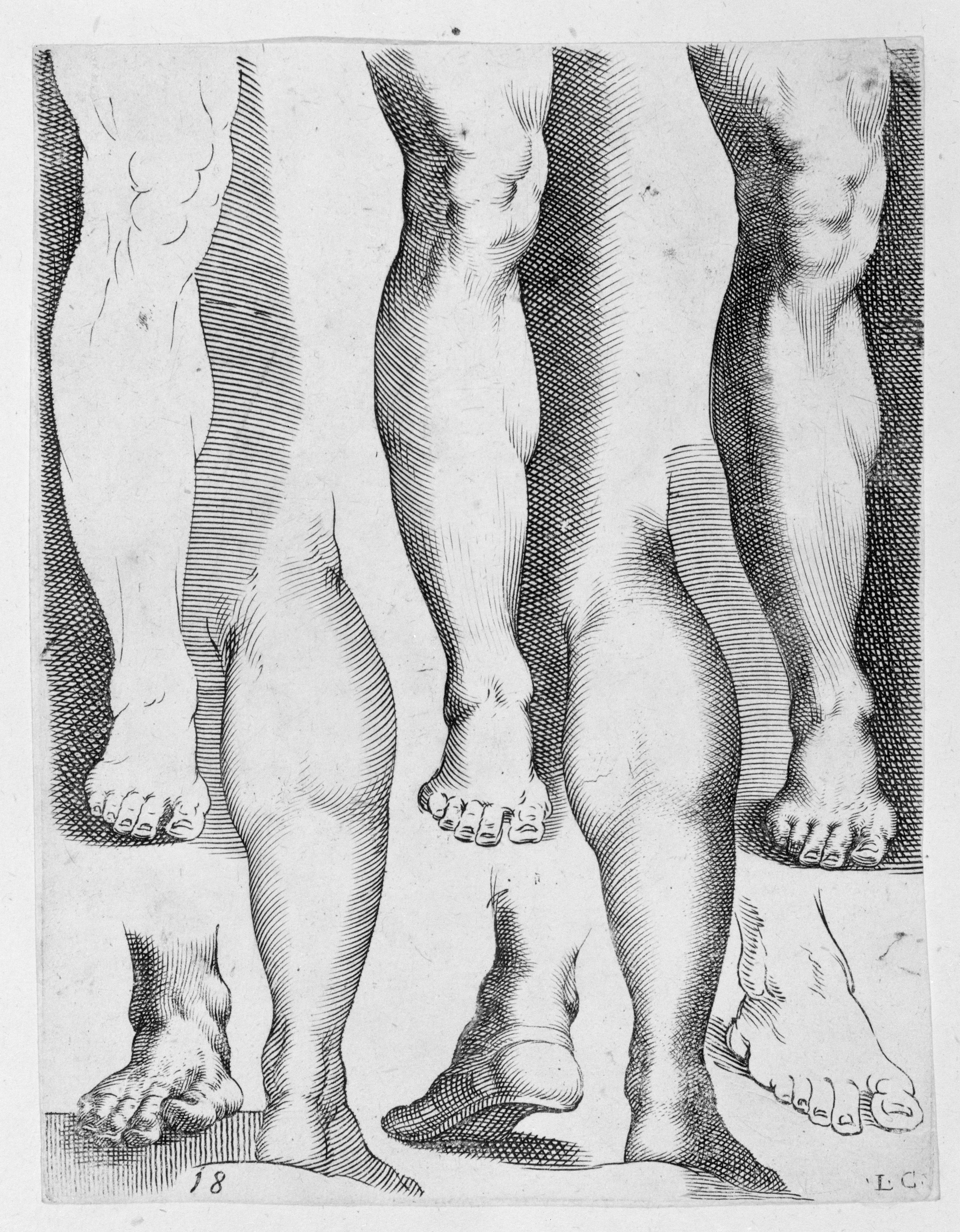 [PIEDI] Five Legs and Three Feet — Luca Ciamberlano